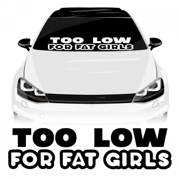 NOT FAT CHICKS 2