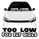 NOT FAT CHICKS 2